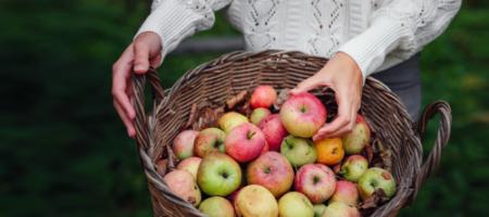 Când să vă culegeți legumele, fructele și ierburile preferate din grădină?