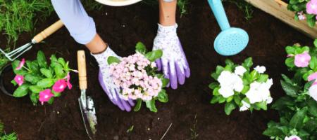 Cele mai populare produse ecologice care sunt potrivite pentru orice grădină